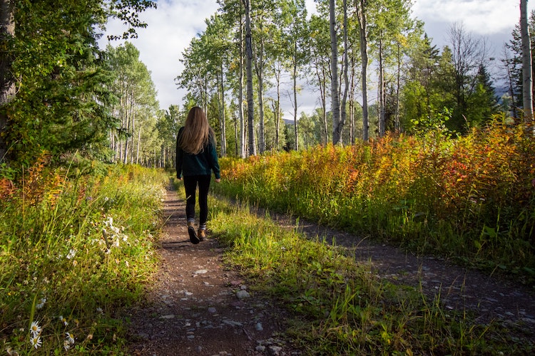 Wandelen in de natuur