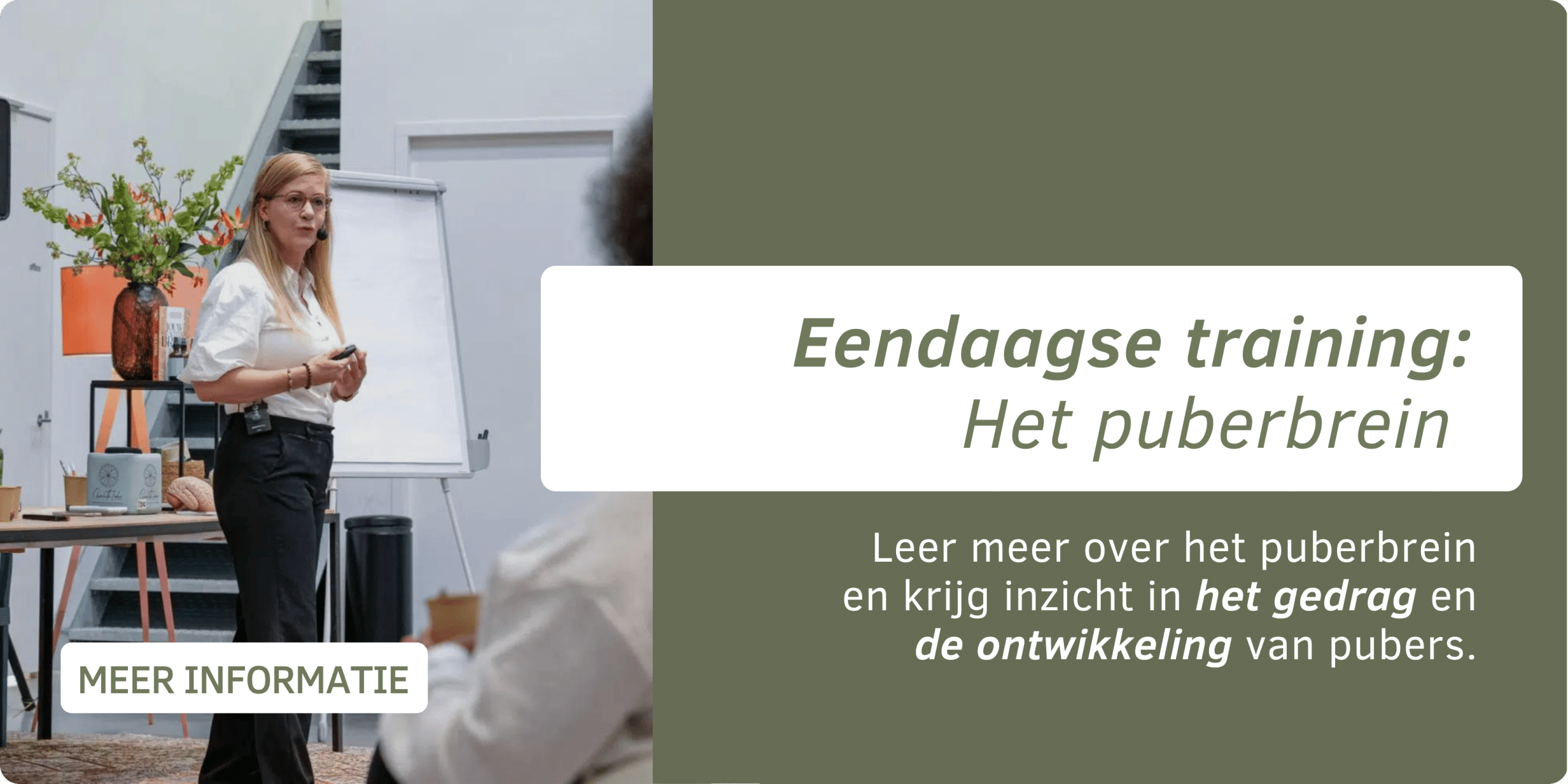 pubergedrag, pubertijd