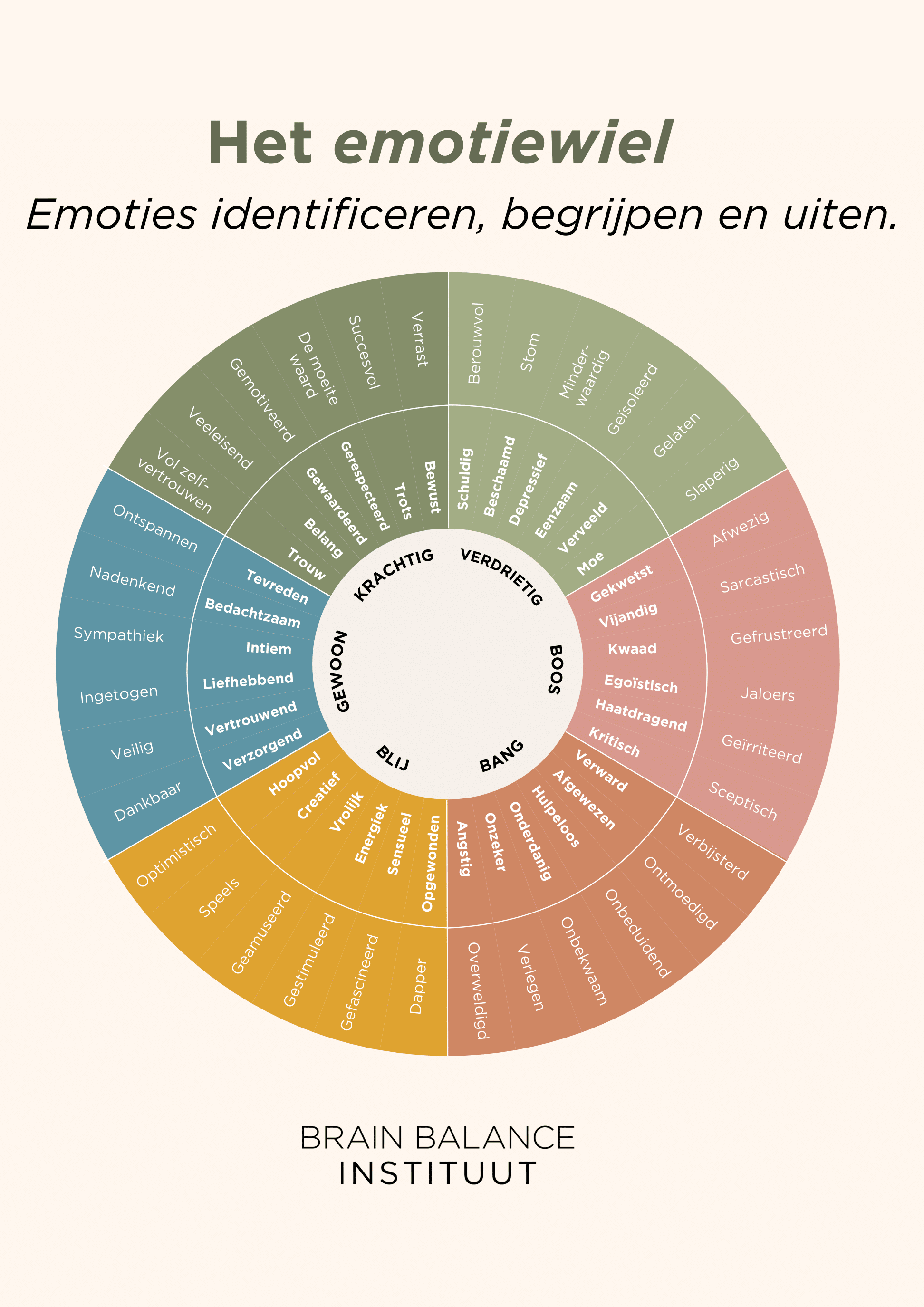 Emoties lijst emoties identificeren