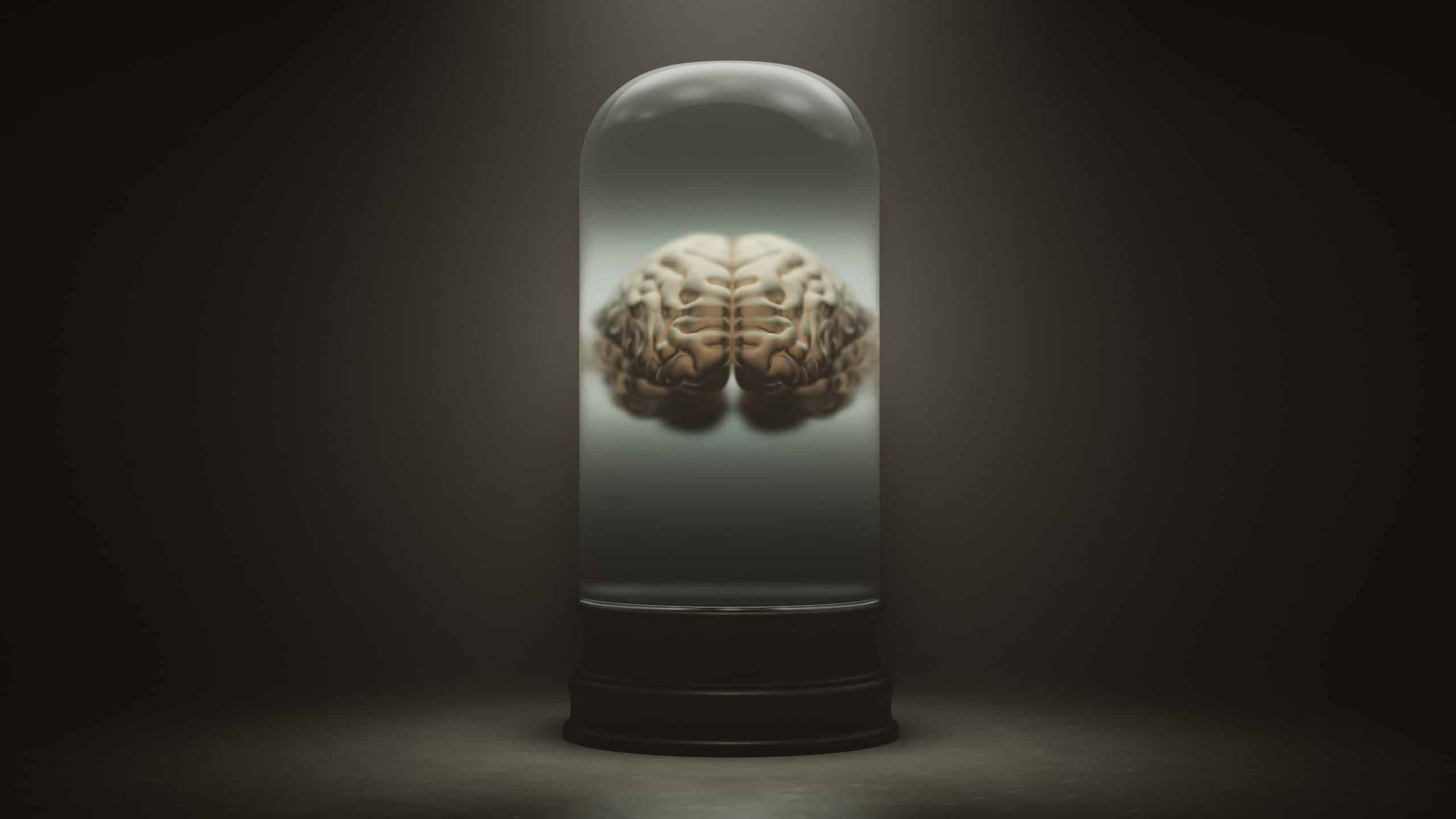 Human,Brain,Floating,In,A,Liquid,In,A,Bell,Jar